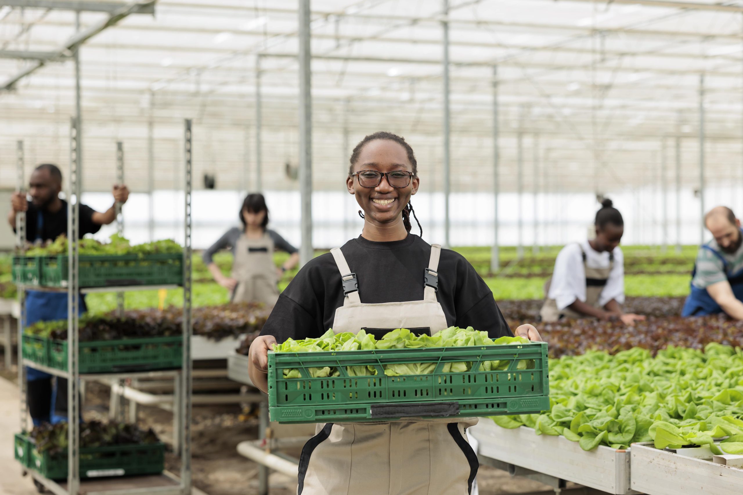 happy cheerful african american farm worker holding crate full local eco friendly ripe leafy greens from sustainable crop harvest entrepreneurial bio permaculture greenhouse farm min